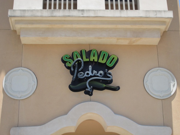 Salado Pedro's, Estero, FL by Lee Designs