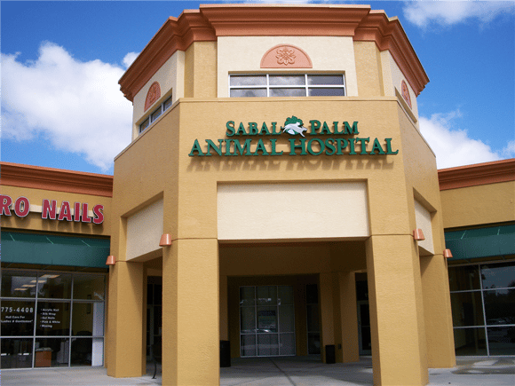 sabal_palm_animal_hospital,_naples,_fl_by_lee_designs