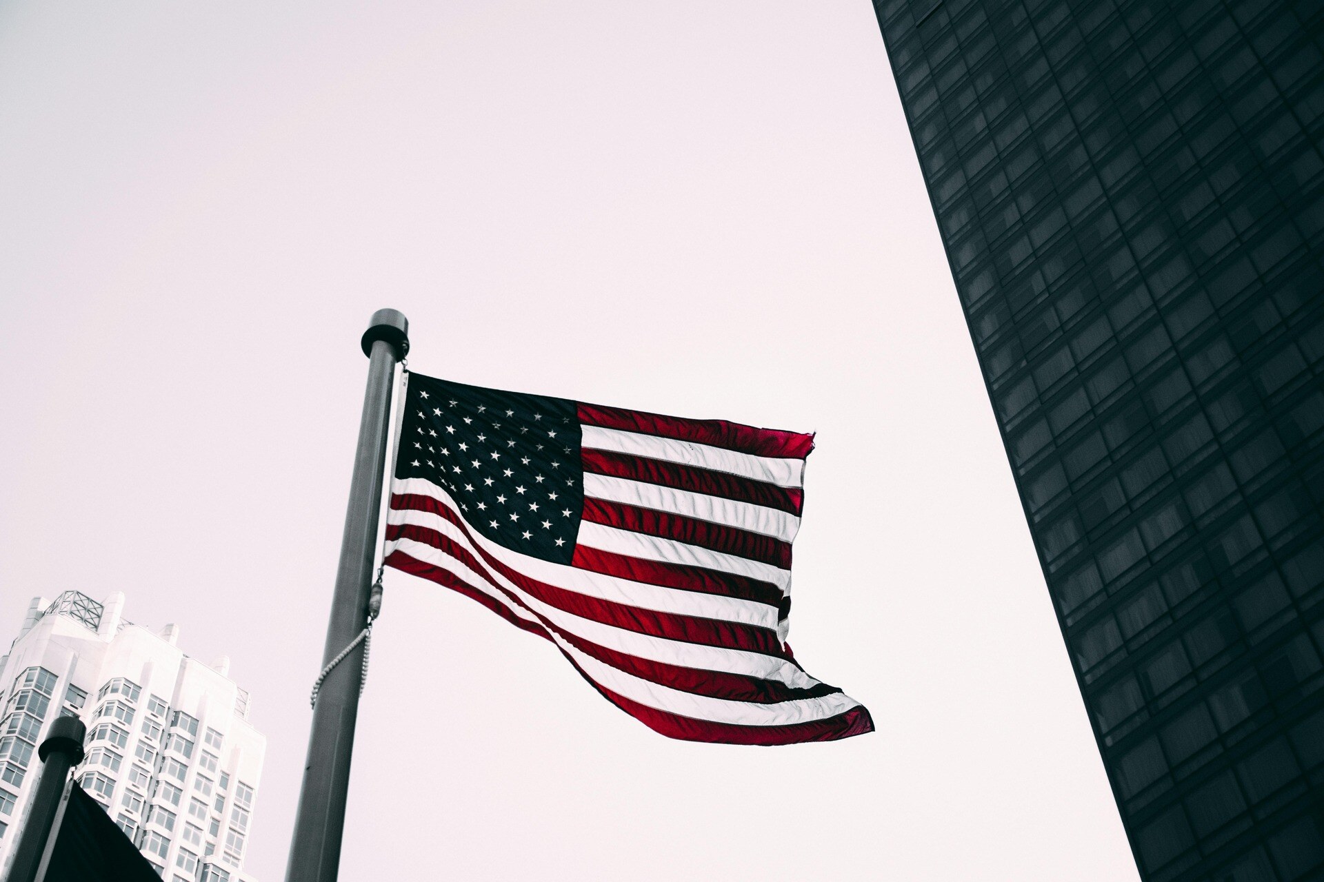 pexels-einfoto-2174720 (1)